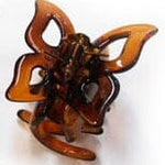 Claw Clip- Medium Accessories Misc Tortoise 