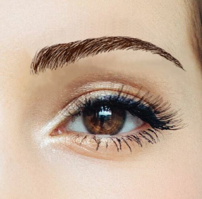 Dark Brown / Beauty Eyebrows #2