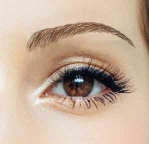 Medium Brown / Beauty Eyebrows #2