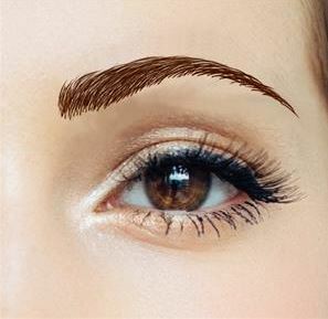 Medium Brown / Beauty Eyebrows #3