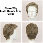 Light Sandy Grey / Blake / Men's Wig