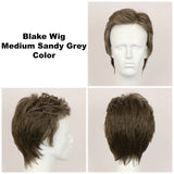 Medium Sandy Grey / Blake / Men's Wig