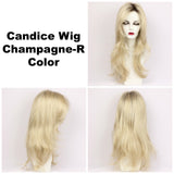 Champagne-R / Candice w/ Roots / Long Wig