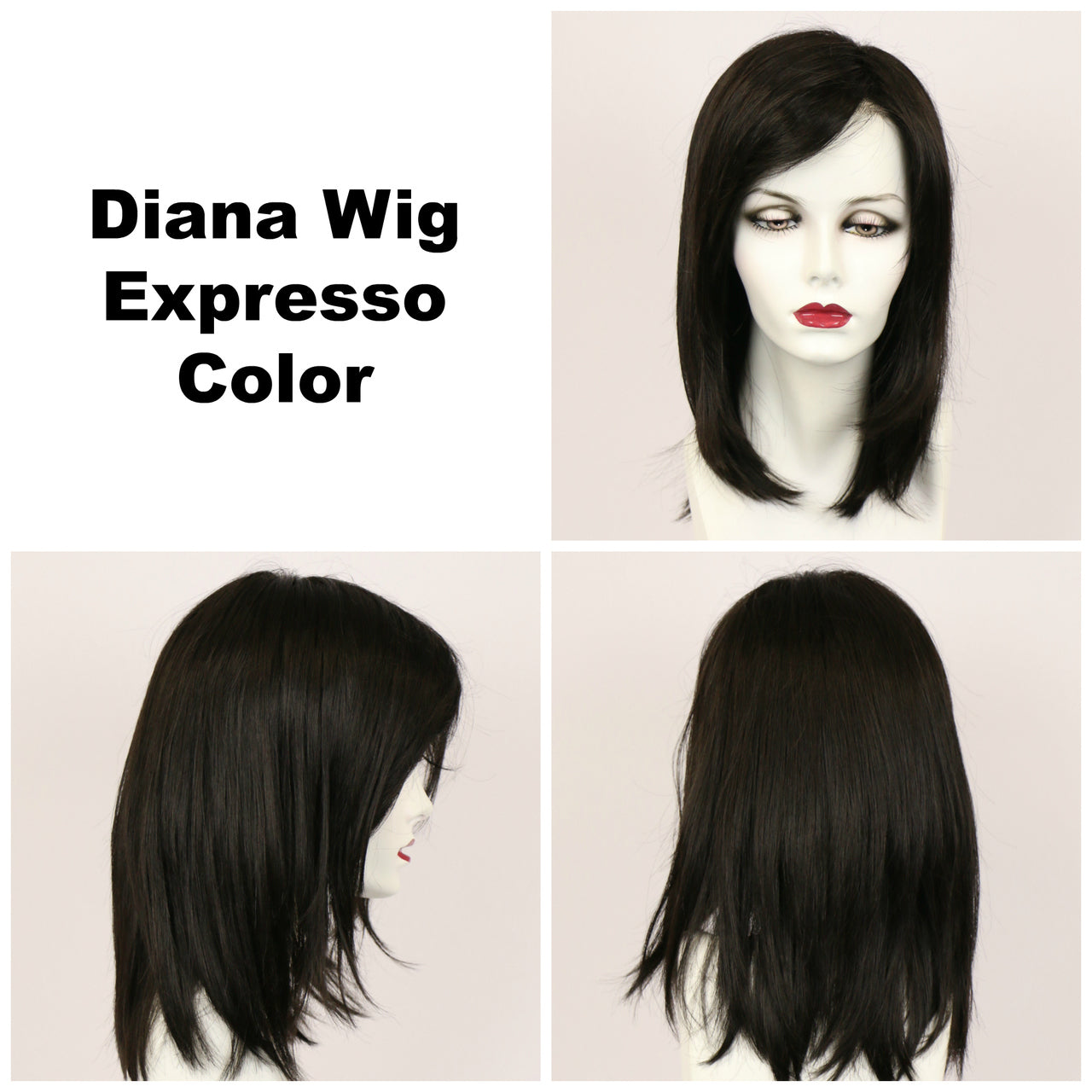 Expresso / Diana Lace Front / Long Wig