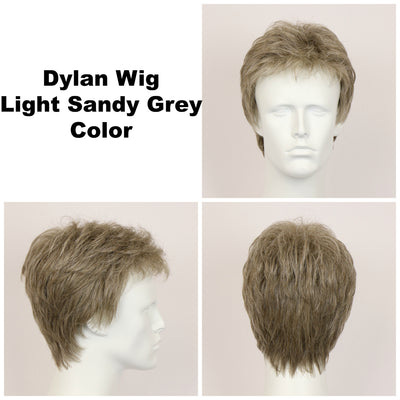 Light Sandy Grey / Dylan / Men's Wig