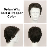 Salt & Pepper / Dylan / Men's Wig