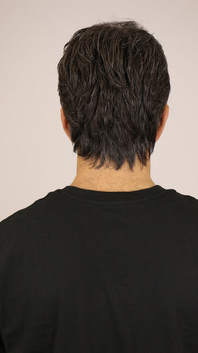 Salt & Pepper / Dylan / Men's Wig