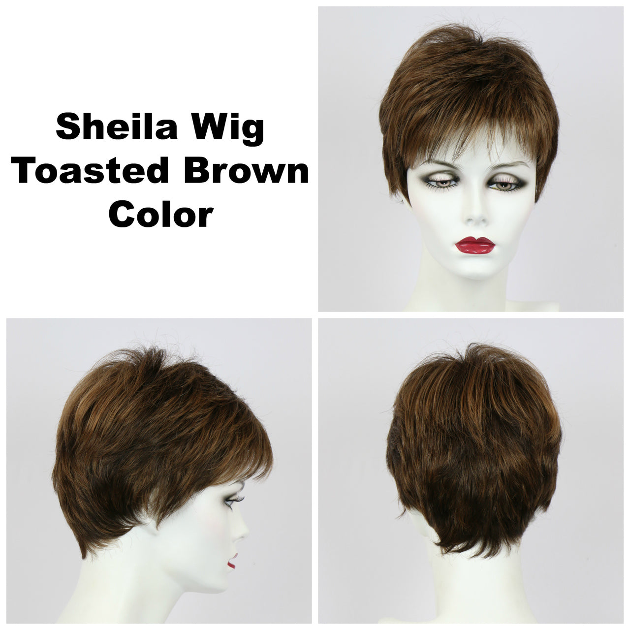 Toasted Brown / Petite Sheila / Short Wig